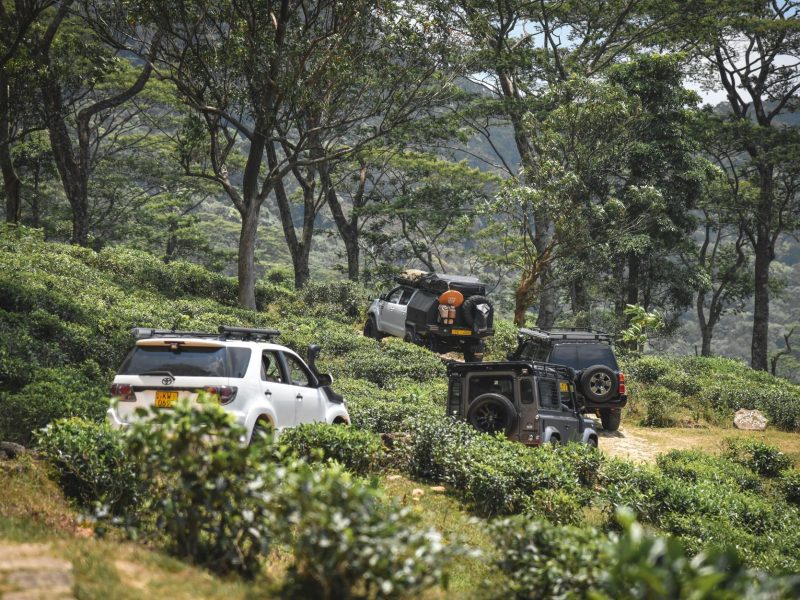 overlanding-3